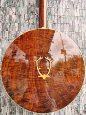 Stelling Staghorn 2010 5-String Banjo (Pre-Owned)