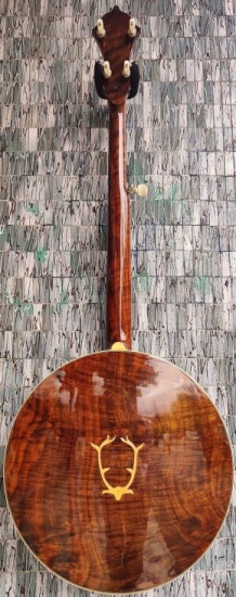 Stelling Staghorn 2010 5-String Banjo (Pre-Owned)