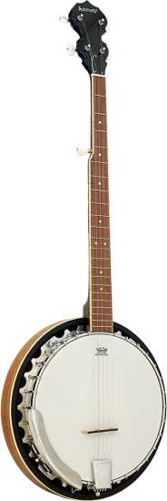 Ashbury AB-35-5 5 String Banjo, Mahogany Resonator