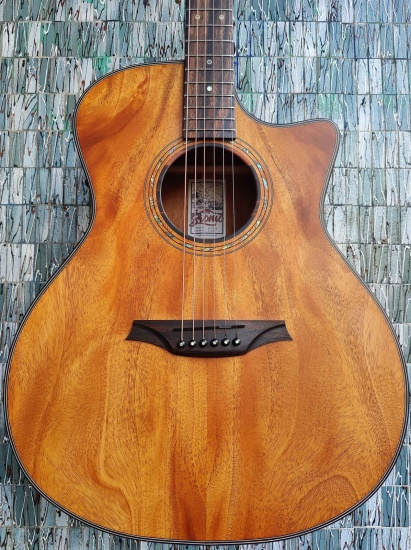 Bromo Tahoma Series BAT2MCE Electro-Acoustic Grand Auditorium Cutaway