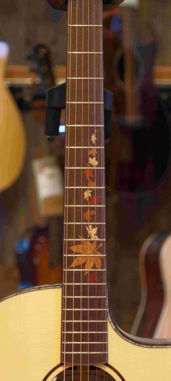 Crafter Anniversary Series AL G-1000CE Electro-Acoustic Grand Auditorium Cutaway, Autumn Leaves