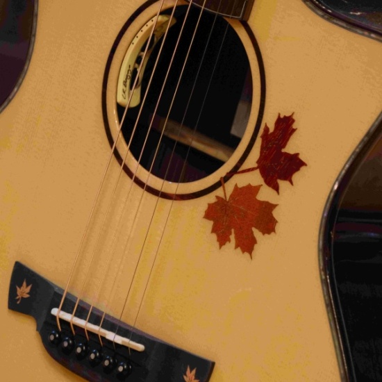 Crafter Anniversary Series AL G-1000CE Electro-Acoustic Grand Auditorium Cutaway, Autumn Leaves