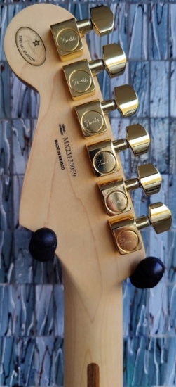 Fender Limited Edition Player Stratocaster, Maple Fingerboard, Black with Gold Hardware