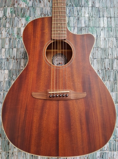 Fender Newporter Special, All Mahogany Electro-Acoustic Cutaway 