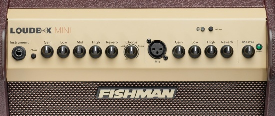 Fishman Loudbox Mini Bluetooth Acoustic Amp PRO-LBT-500
