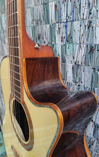 Furch Red Deluxe Gc-Ll Alpine Spruce/Malaysian Blackwood Grand Auditorium Cutaway with Duo Bevel