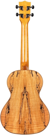 Kala Solid Spruce Spalted Maple Tenor Ukulele