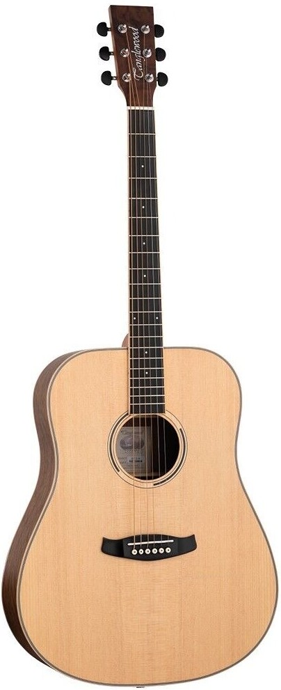 Tanglewood Discovery Series DBT D HR Dreadnought Acoustic, Hawaiian Rainwood