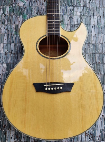 Washburn Festival Series EA20 Electro-Acoustic Florentine Cutaway, Natural